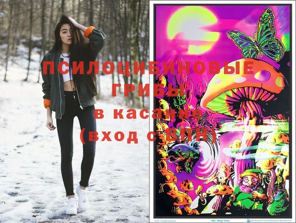 марки nbome Белокуриха