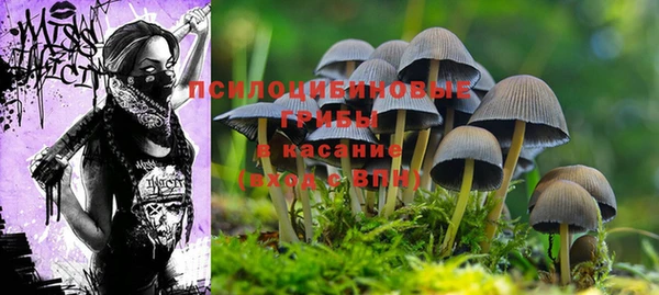 марки nbome Белоозёрский