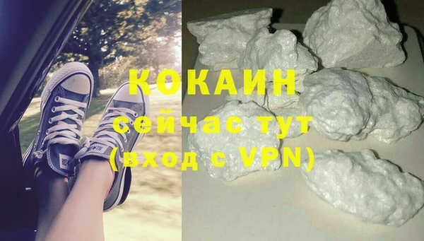прущие грибы Сосновый Бор