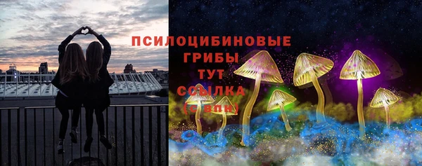 гидропоника Беломорск