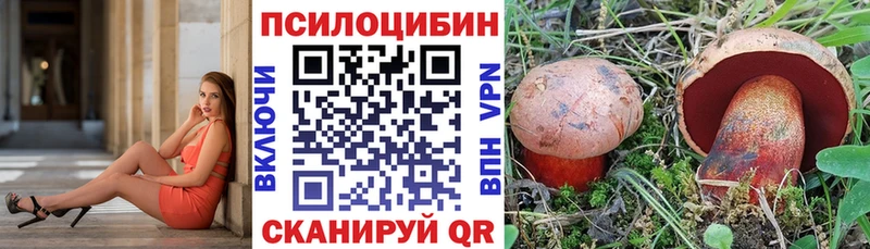 ссылка на мегу как зайти  Духовщина  Псилоцибиновые грибы ЛСД 