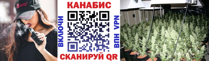 Шишки марихуана планчик  Духовщина 